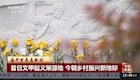 央视报道常德文甲起义策源地成为乡村振兴新地标