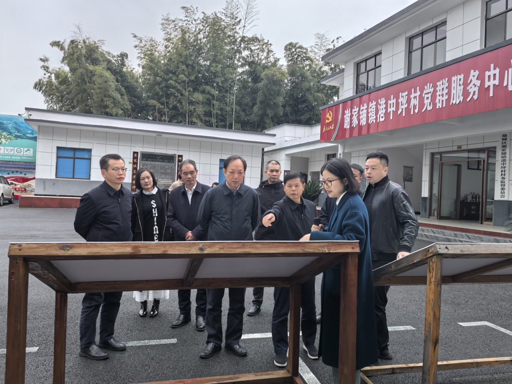 省委党史研究院调研谢家铺镇港中坪村
