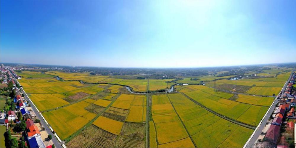 鼎城红色新地标：港中坪村 