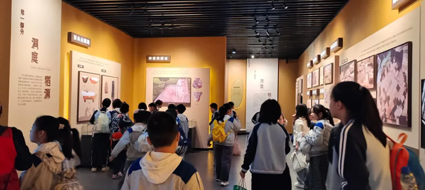 研学团队参观稻作文化展示馆