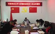 鼎城区委党史办传达学习区委经济工作会议精神