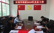 区领导调研党史方志工作