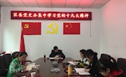区委党史办集中学习党的十九大精神